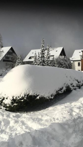 Am Skihang Erlebniskappe Winterberg im Fichtenweg